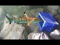 PLASTIC BIN FISH TRAP Catches BIG FISH! DIY Fishing