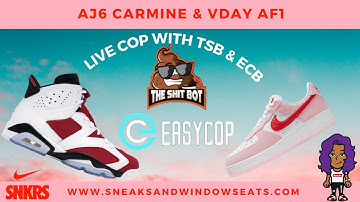 Jordan 6 Carmine & Valentine