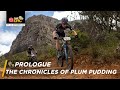 The chronicles of plum pudding