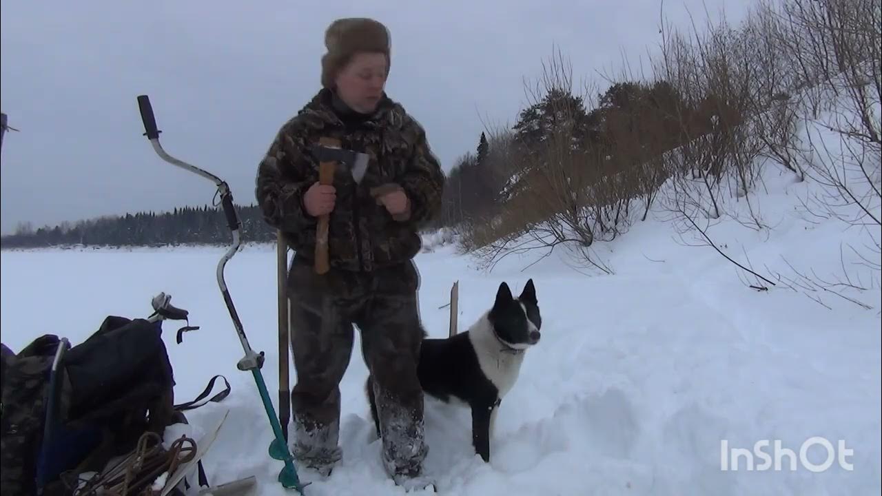 Охота на кабана в брянской области. Под охота. Медведь в доволенском районе новосибирской. Мужики на охоте. Загонная охота на зайца и лису.