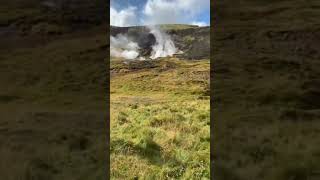 Dan Bilzerian Abimiz Kızlarıyla Piknikte