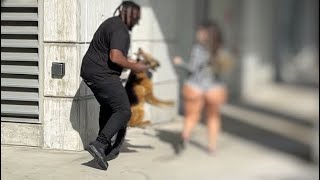 Fake Dog Prank On Baddie in Atlanta