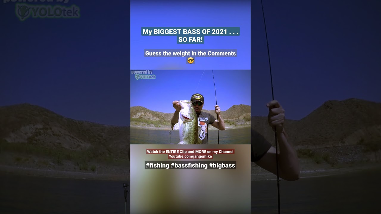 Caught my BIGGEST BASS of 2021 | Bass Fishing Diamond Valley Lake 2021 