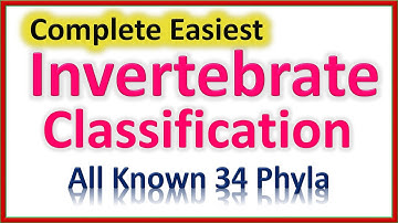 Invertebrate Classification | Easiest To Understand | All 34 Phyla in All Clades