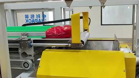 Pouch into Carton box secondary packing line with robot palletizing machine