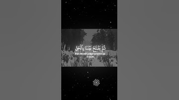 اكتب شيء تؤجر عليه 🤍🐚#قرآن #قران_كريم #تلاوة_هادئة #القارئ #المنشاوي #quran