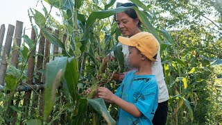 Two dishes about corn|小外甥说不吃“玉米鸡蛋饼”，可出锅后，没想到他比谁都吃得猛😂【乡野莲姐RuralLianjie】