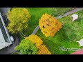 Enchanting autumn scenery a drones view of tu chemnitz field  arijit singh cover