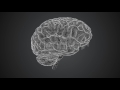 Brain Scan ( footage )