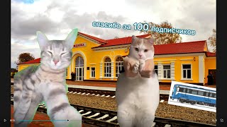 Ураааа! Спасибо за 100 подписчиков!