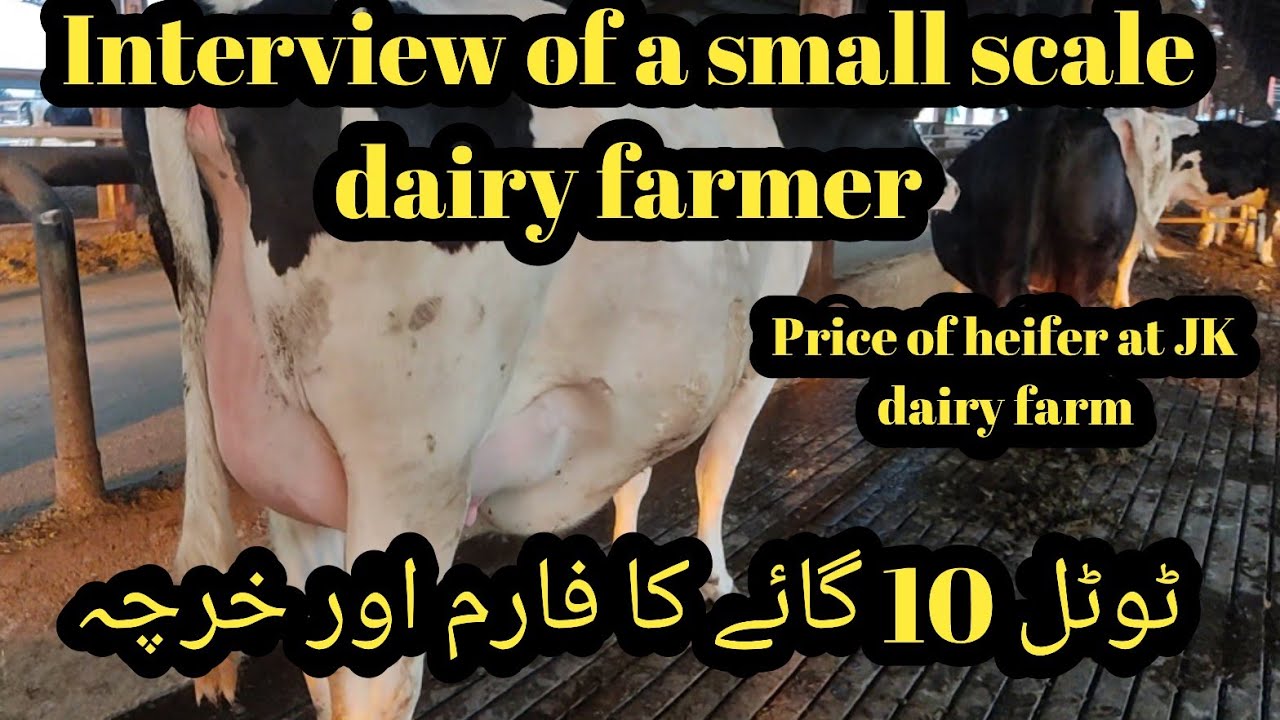 Small scale dairy farming II Interview of a small farmer I Investment
