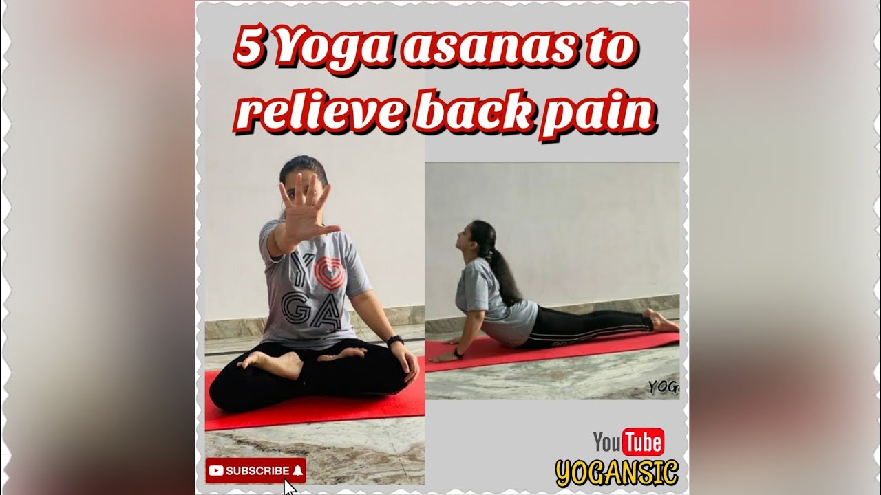 5 YOGA ASANAS FOR BACK PAIN | YOGA FOR BACK PAIN RELIEF | YOGANSIC ...