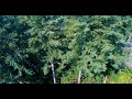 Sammamish Land Opportunity