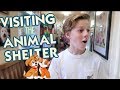 It's Ready for A New Kitty: Our Visit to the Animal Shelter