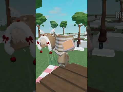 12 نوفمبر 2025