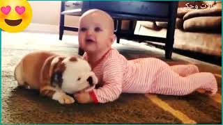 اطفال رائعين اللعب مع الكلاب مضحكcute baby play whith dogs funny 