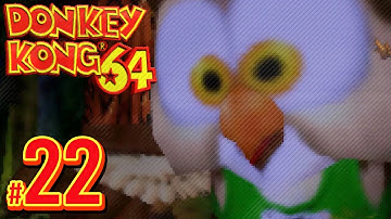 Donkey Kong 64 - The 17 Year Secret | PART 22