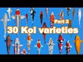 30 Koi Fish varieties, types and characteristics (part 2)