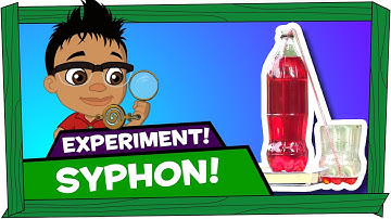 Kid Experiments: Syphon - Darwin and Newts