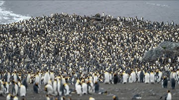 Argia - Oxido (Original Mix) [Bedrock Records]