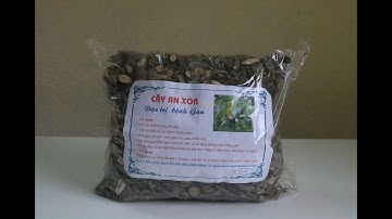 Cây An Xoa - Khắc Tinh Của Các Bệnh Về Gan