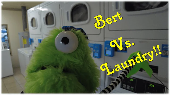 Bert Vs. Laundry! - Thousand Trails #peaceriver #f...