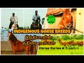 Horse series # 3 : Part-1 | Indigenous horse breeds | இந்தியாவின் குதிரை ரகங்கள் | Marwari Profile |
