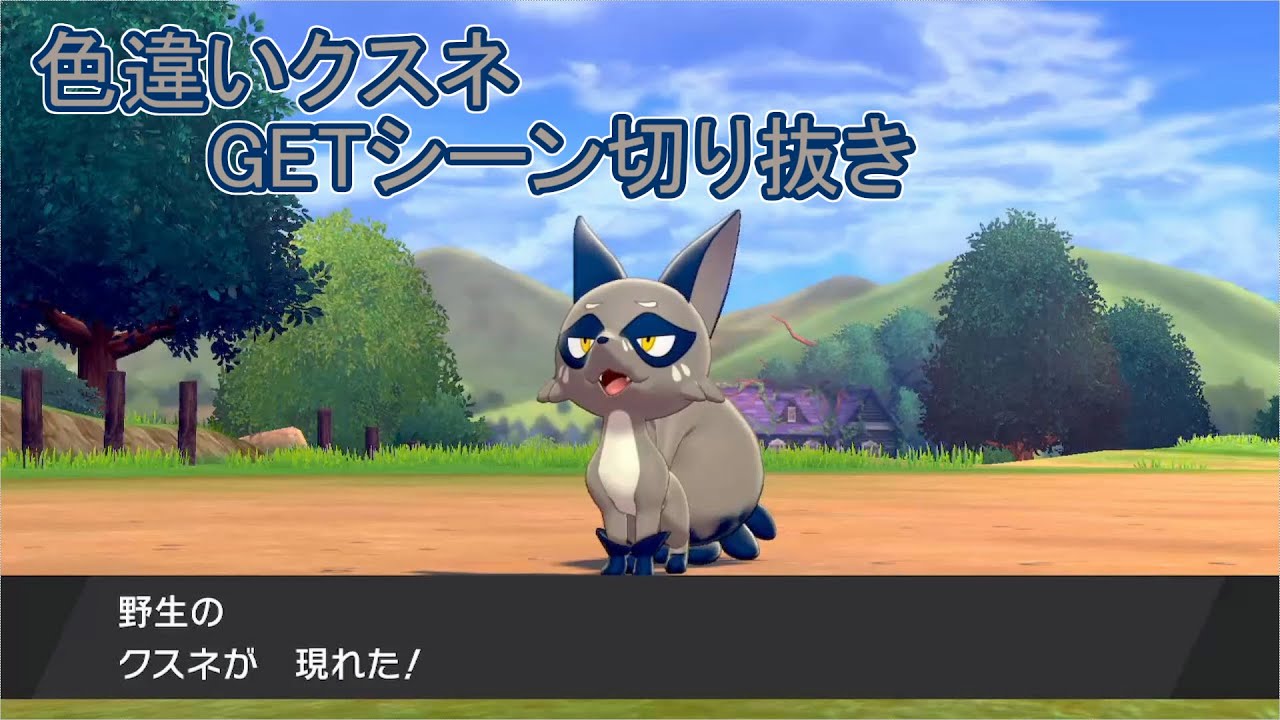 違い 伝説 剣 ポケモン 盾 色