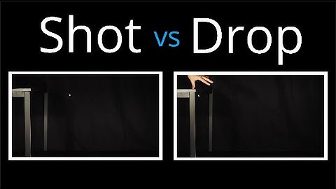 Shot VS Drop (Physics of Projectile Motion)