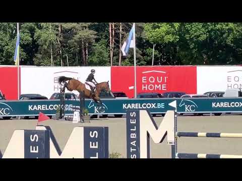 Moneypenny CSIYH 7 year old Opglabbeek