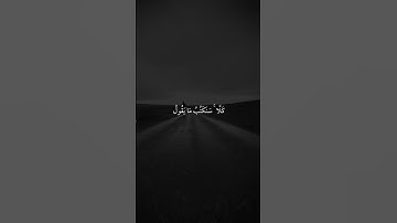 الراحه النفسيه _ القرآن الكريم _ آيات قصيره انستكرام _ حالات واتس اب