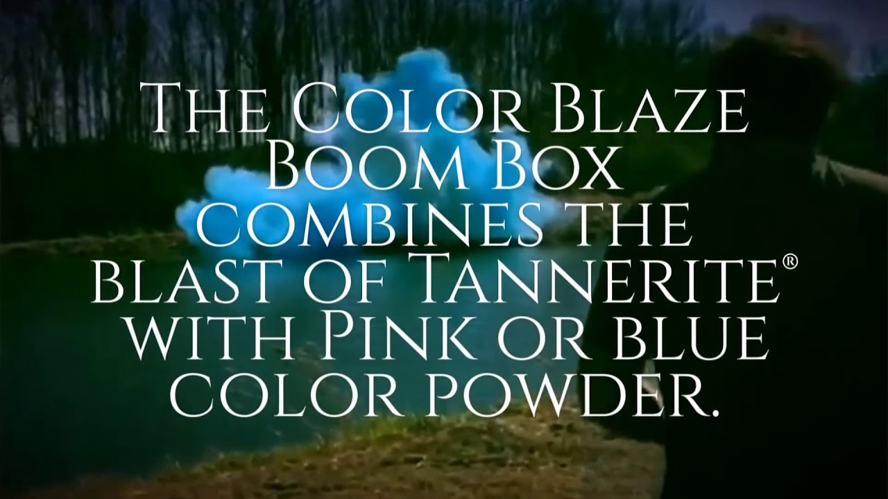 The Original Gender Reveal Orange Target Shotgun Exploding Target Balls Set by X&Y (1 Pink & 1 Blue Ball) | Gender Reveal Powder Shooting Balls