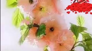 صبحتك بنور النبي
