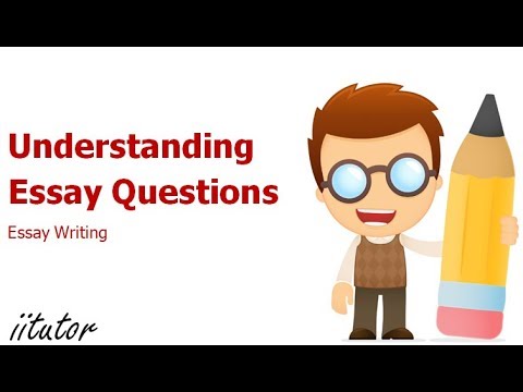 what are examples of essay questions