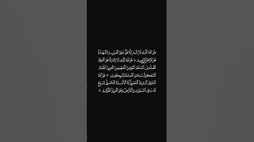 الشيخ احمد حمادي سورة الحشر