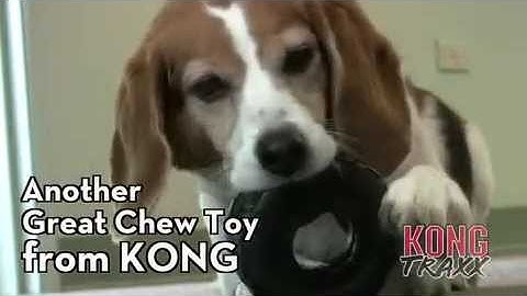 Kong Traxx | Dog Toys