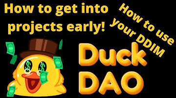 What is DuckDAO and how to use DDIM to get into new projects