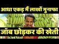 जॉब छोड़कर केले से लाखों कमाई🤑🤑Biggest Banana Farming in India | AgriBusiness Success Story