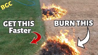 DOUBLE DARK GREEN Bermuda Grass Faster with FIRE ? No Chemical DEEP GREEN of lawn