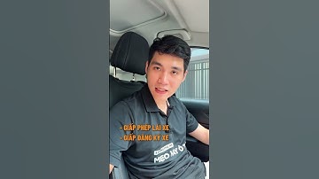 Quy định khi CSGT dừng xe #TikTokAwardsVN #xh #meooto #laixeantoan