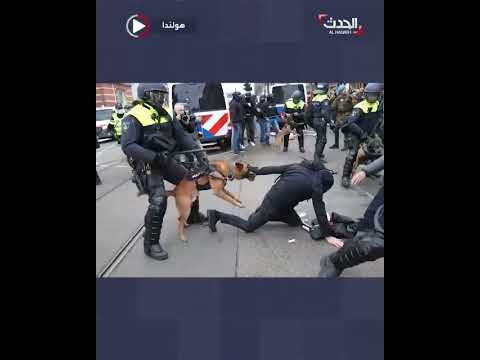 الشرطة الهولندية تتصدى لمتظاهرين ضد الإغلاق بسبب كورونا بالكلاب