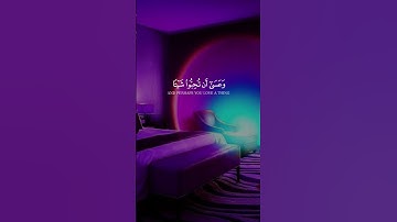 قران كريم بصوت جميل جدا #المصحف #الرحمن #راحة_نفسية