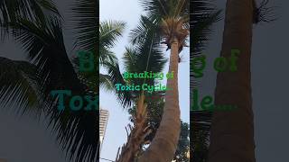 ​Breaking the Toxic Cycle | Sukoon Series ✨ #positivemindset #karma&amp;lifelessons #Shorts