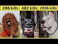 10 Most Dangerous Dog Breeds In The World In Urdu/Hindi | Largest Dog Breed | Pet dogs