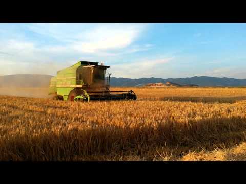 [HD]Barley Harvest 2015