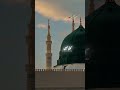 Milad ul Nabi (sww) Status | #miladunnabi #12rabiulawal #shortsfeed #shortsviral #youtubeshorts