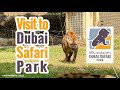 Dubai safari park zoo