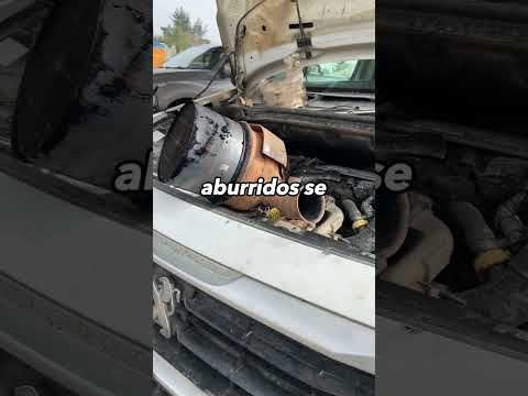 🚨Problemas con tu