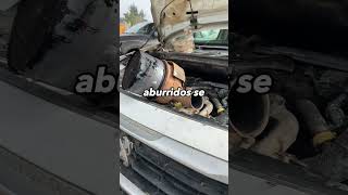 Problemas Con Tu Filtro Dpf?