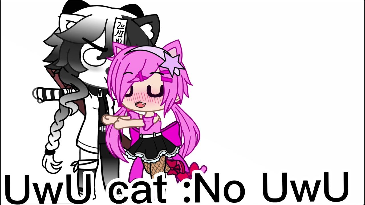 If my OC's meet UwU cat - YouTube